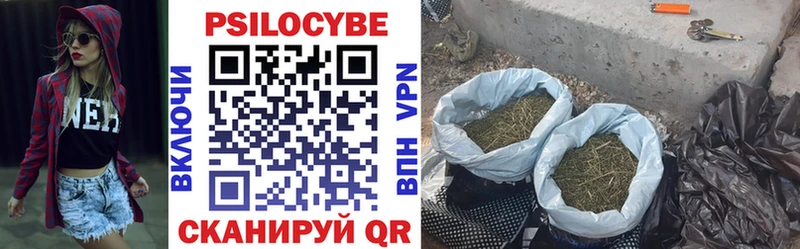Галлюциногенные грибы MAGIC MUSHROOMS  Белозерск 